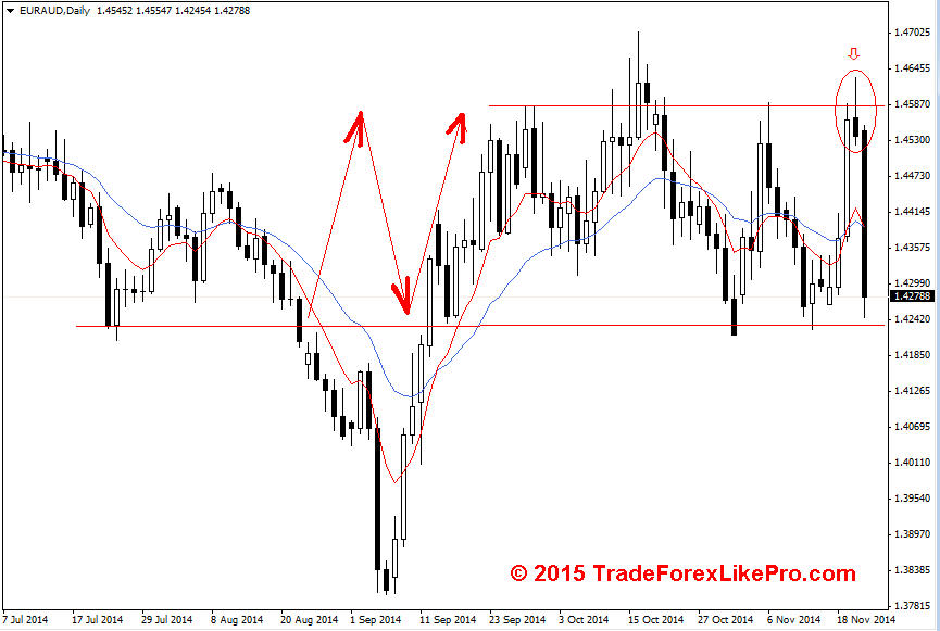 Forex Trading Daily Chart